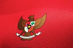 Menpora Iming-imingi Rp 100 Juta Buat Klub Peserta Piala Kemerdekaan