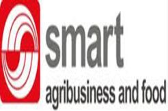 Sinar Mas Agro Rombak Susunan Direksi