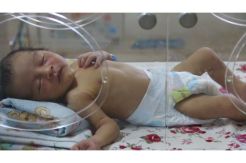Bayi Baru Lahir Dibuang dalam Masjid