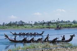 Festival Perahu Naga...