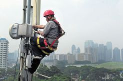 Beda Sinyal dengan Jaringan