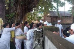 Takut Arwah Angeline...