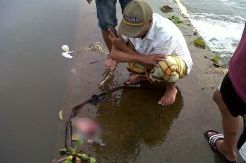 Penemuan Orok Perempuan Hebohkan Warga Gowa