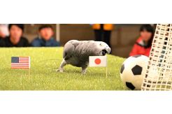 Jepang Diramalkan Juara