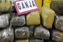 Aparat TNI Amankan 1,5 Ton Ganja Asal Aceh