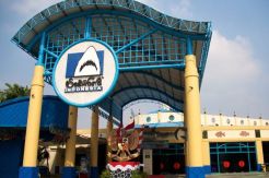 Asyik, SeaWorld Indonesia Tambah 20 Ribu Biota Baru
