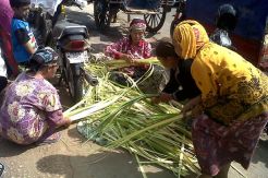 Sambut Lebaran Ketupat, Warga Madura Buru Janur