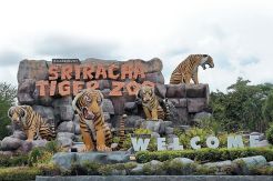 Tempat Wisata Seru di...