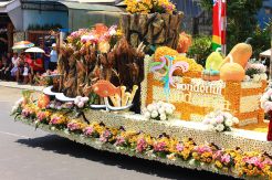 Tomohon Gelar Festival Bunga Internasional