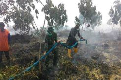 Bahaya! Kebakaran Hutan di Riau Mulai Mendekati Pemukiman