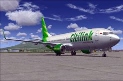 Pesawat Citilink Pecah Ban, Penumpang Terkena Serangan Jantung