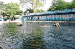 Sensasi Berenang Bareng...