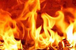 Geram, Warga Bakar Pencuri Sapi hingga Jadi Abu