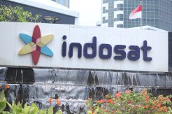 Indosat Bantu Pengiriman Jerapah dari Australia ke Ragunan