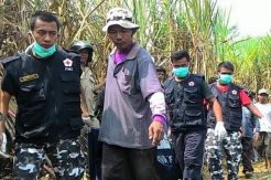 Bakar Ladang Tebu, Kakek Trimo Ikut Terbakar dan Tewas