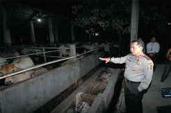 Kartel Diduga Sengaja...