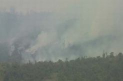 Hutan di Lereng Gunung Lawu Terbakar