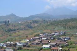 Api Bakar 10 Hektare Lahan di Gunung Slamet