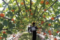 Life Science for Indonesia
