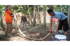 Sumur Warga Mulai Kering