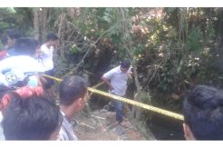 Pikap Terjun ke Jurang, 6 Tewas