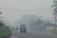 Kabut Asap Semakin Pekat, Udara Pekanbaru Tidak Sehat
