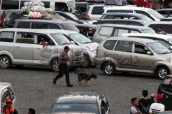 Konser Bon Jovi, Polda Metro Terjunkan Anjing Pelacak Handak