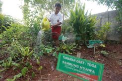 Sekolah Hijau di Jakarta Utara Bertambah