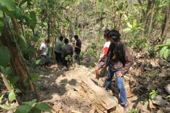 Siswi SD Tewas Tertimpa Batu saat Olahraga