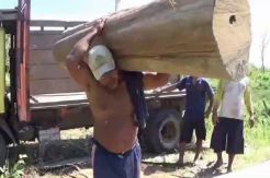 Kakek Warsono, Kuli Panggul Kayu Jati Asal Ngawi