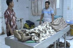 Pesta Miras Oplosan, Dua Warga Surabaya Tewas