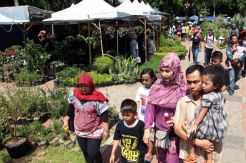 DKI Gelar Pameran, Aneka Flora Dijual Serba Rp10 Ribu
