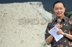 Tom Lembong Akui Tata...