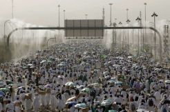 12 Jamaah Haji Indonesia Wafat di Arafah