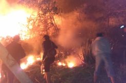 Hutan Gunung Lokon Terbakar