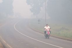 Udara di Banyuasin Mulai Berbahaya Akibat Kabut Asap