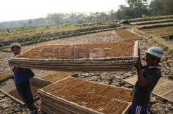 Historis Ada Pasal Keretek di RUU Kebudayaan