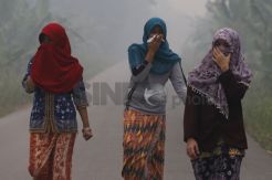 Cegah Dampak Kabut Asap dengan Jaga Kualitas Udara di Rumah