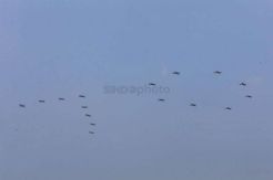 Begini Aksi Sukhoi TNI AU Lumpuhkan Pesawat Musuh