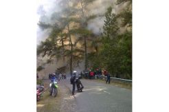 5 Ha Hutan di Perbatasan Palopo-Toraja Terbakar