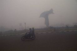 Derita ISPA akibat Kabut Asap, Bayi 28 Hari Meninggal