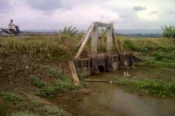 Warga Padaherang Keluhkan Infrastruktur Saluran Air Pesawahan
