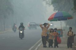 Panja Asap Desak Pemerintah Tindak Tegas Perusahaan Nakal
