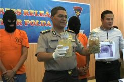 Polisi Gagalkan Jual Beli 4.655 Benih Lobster Ilegal