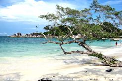 Menpar Arief Yahya Promosikan Belitung di Kapsul Waktu
