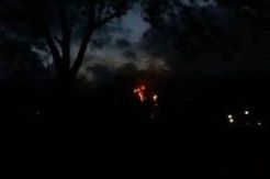 Kobaran Api di Hutan Perhutani Pangandaran Berhasil Dipadamkan