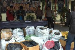 Polisi Gagalkan Penyelundupan Satwa Dilindungi yang Diawetkan