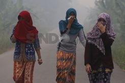 Kementerian Kesehatan Buka Shelter untuk Korban Kabut Asap