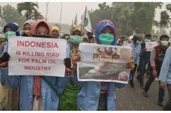 Asap Tak Hilang Dua Pekan, Janji Jokowi Ditagih