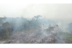 Aliansi Relawan Jokowi Dorong Class Action Terkait Asap